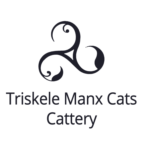 Triskele Manx Cats Cattery